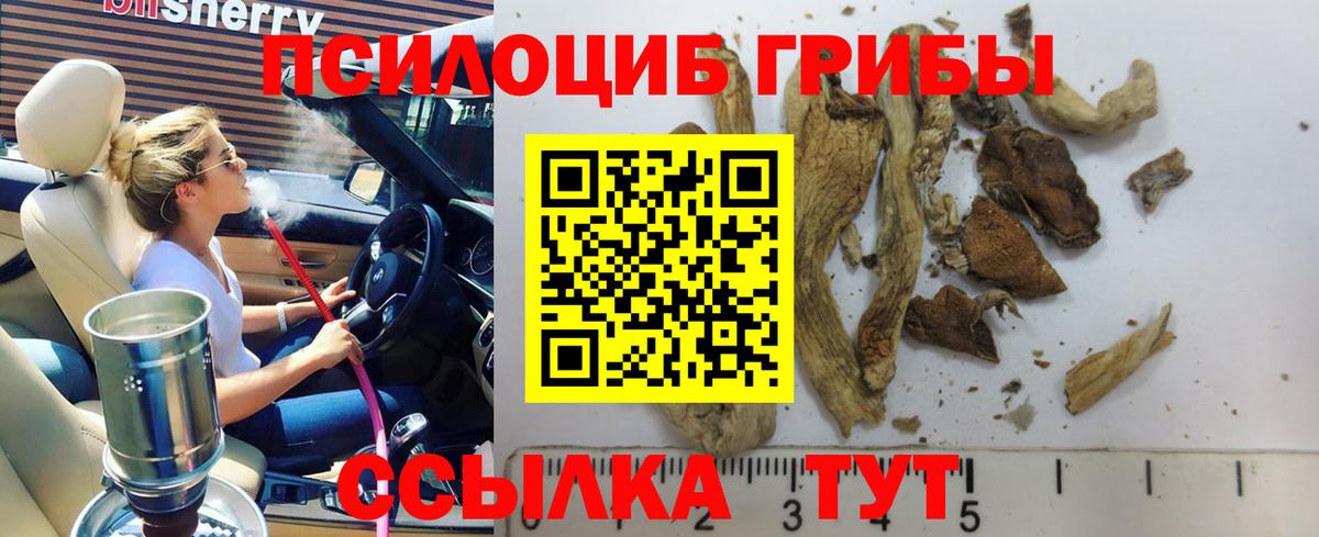 Псилоцибиновые грибы мухоморы Ефремов