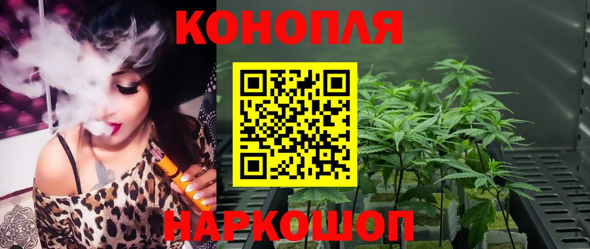 Бошки Шишки AK-47  Конопля White Widow  Вход с VPN  Ефремов  Бошки Шишки сатива  Шишки марихуана индика 